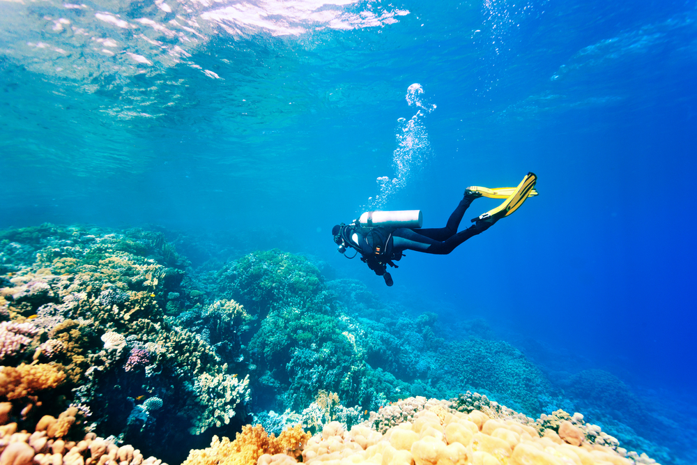 scuba diving in Halkidiki